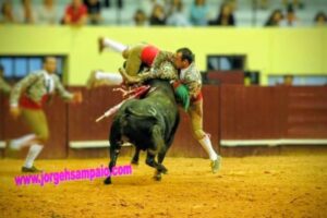 WhatsApp Image 2026-03-19 at 19.35.323